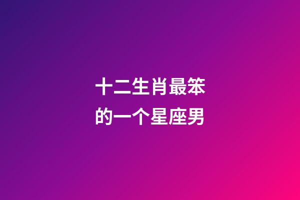 十二生肖最笨的一个星座男-第1张-星座运势-玄机派
