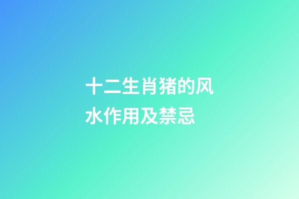 十二生肖猪的风水作用及禁忌