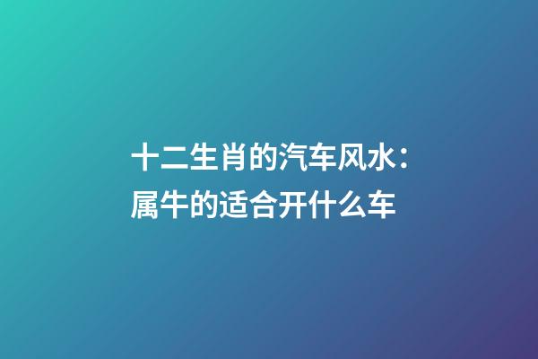 十二生肖的汽车风水：属牛的适合开什么车