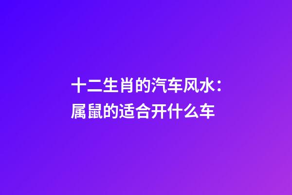 十二生肖的汽车风水：属鼠的适合开什么车