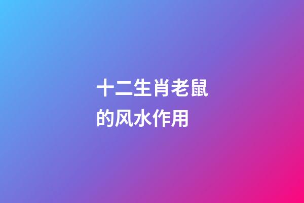 十二生肖老鼠的风水作用?