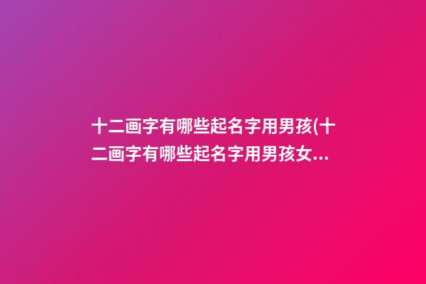 十二画字有哪些起名字用男孩(十二画字有哪些起名字用男孩女孩)