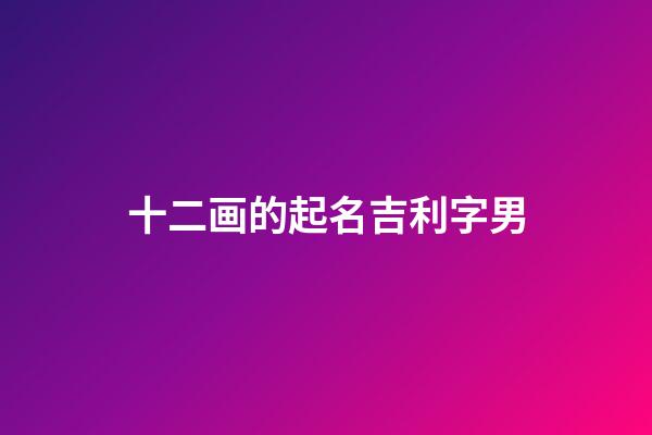 十二画的起名吉利字男(十二画的字有哪些起名字用字男孩)-第1张-男孩起名-玄机派