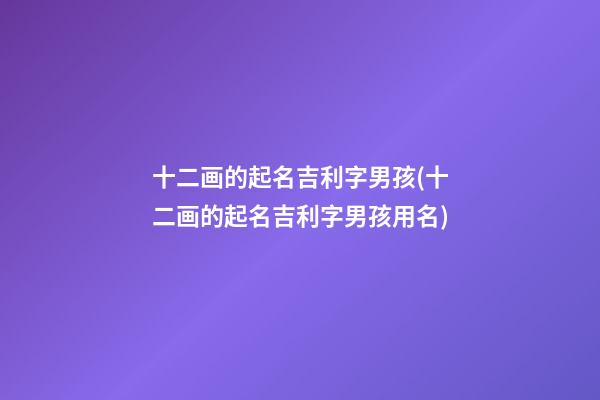 十二画的起名吉利字男孩(十二画的起名吉利字男孩用名)