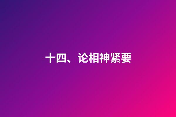 十四、论相神紧要
