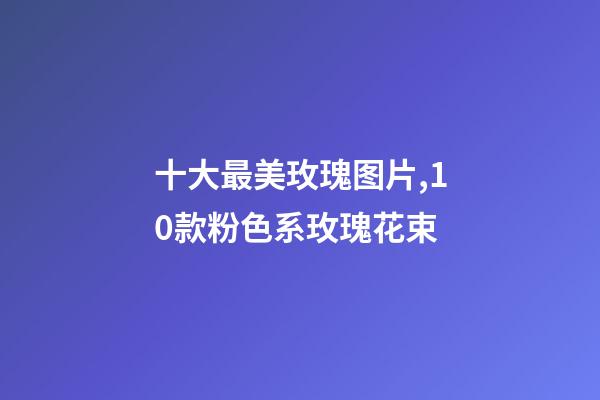 十大最美玫瑰图片,10款粉色系玫瑰花束-第1张-观点-玄机派