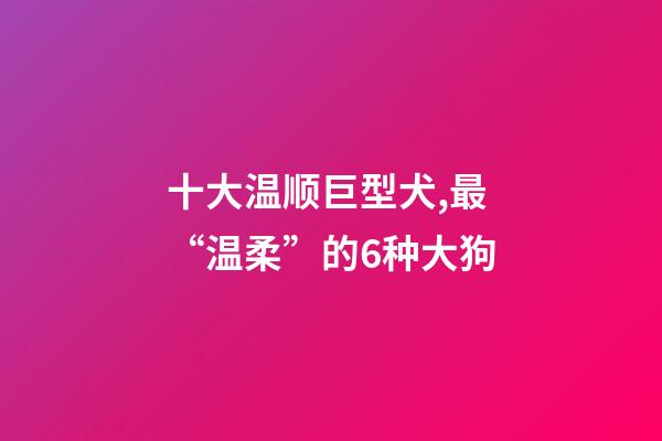 十大温顺巨型犬,最“温柔”的6种大狗-第1张-观点-玄机派
