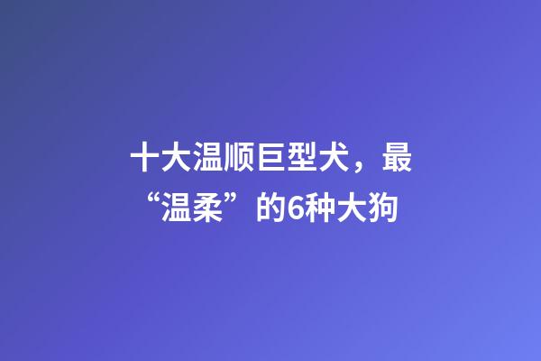 十大温顺巨型犬，最“温柔”的6种大狗-第1张-观点-玄机派