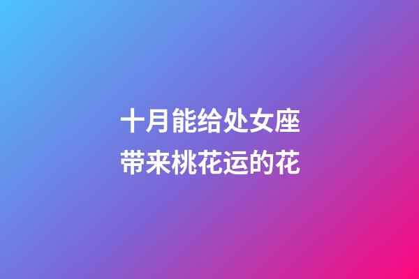 十月能给处女座带来桃花运的花-第1张-星座运势-玄机派