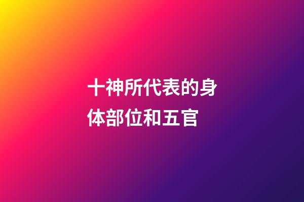 十神所代表的身体部位和五官