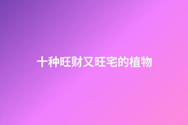 十种旺财又旺宅的植物