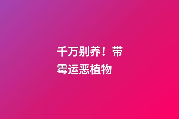 千万别养！带霉运恶植物