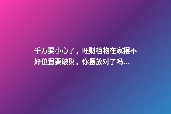 千万要小心了，旺财植物在家摆不好位置要破财，你摆放对了吗？