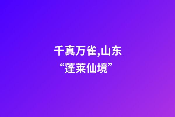 千真万雀,山东“蓬莱仙境”-第1张-观点-玄机派