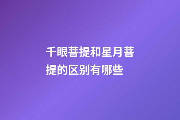 千眼菩提和星月菩提的区别有哪些
