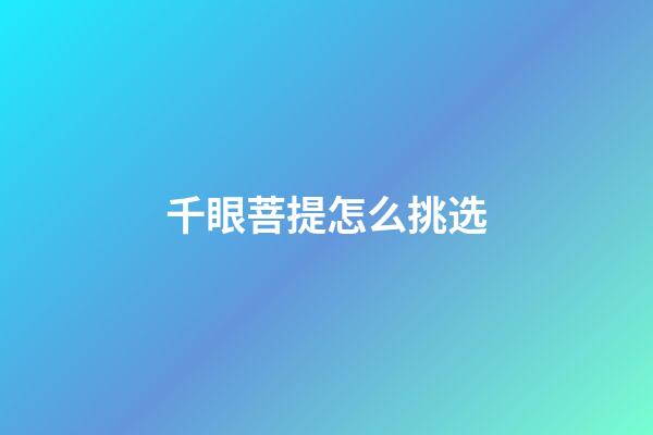 千眼菩提怎么挑选