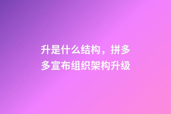 升是什么结构，拼多多宣布组织架构升级-第1张-观点-玄机派