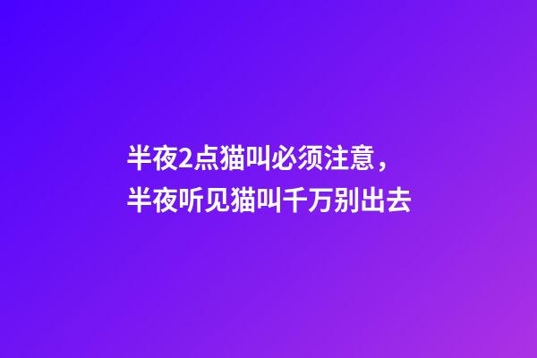 半夜2点猫叫必须注意，半夜听见猫叫千万别出去-第1张-观点-玄机派