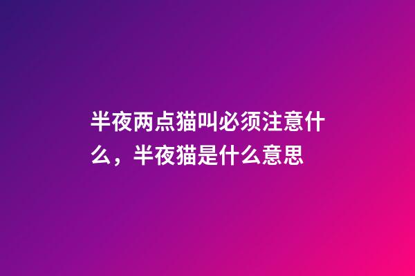 半夜两点猫叫必须注意什么，半夜猫是什么意思