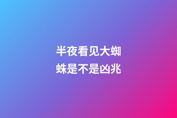 半夜看见大蜘蛛是不是凶兆
