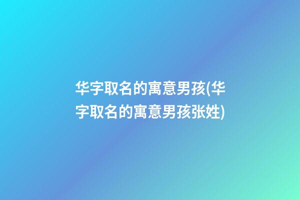 华字取名的寓意男孩(华字取名的寓意男孩张姓)