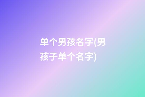 单个男孩名字(男孩子单个名字)