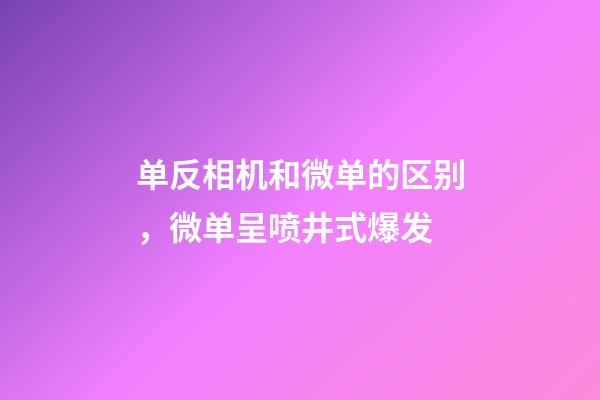单反相机和微单的区别，微单呈喷井式爆发-第1张-观点-玄机派