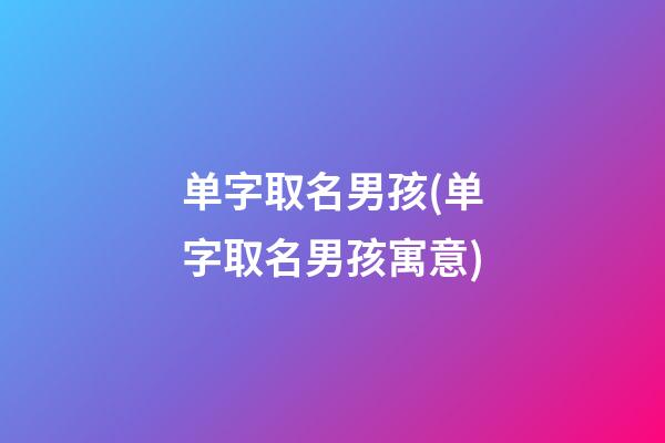 单字取名男孩(单字取名男孩寓意)