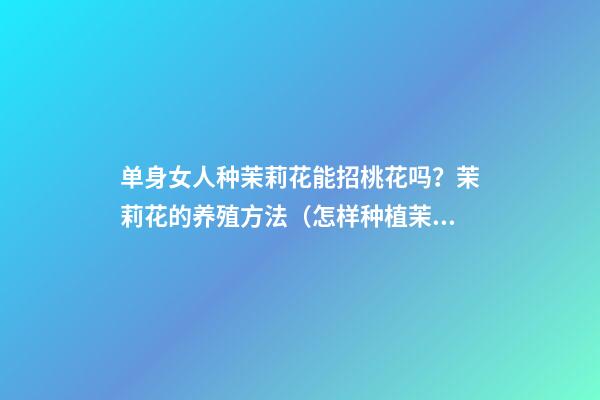 单身女人种茉莉花能招桃花吗？茉莉花的养殖方法（怎样种植茉莉花才多花）