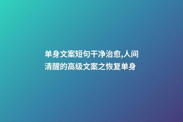 单身文案短句干净治愈,人间清醒的高级文案之恢复单身-第1张-观点-玄机派