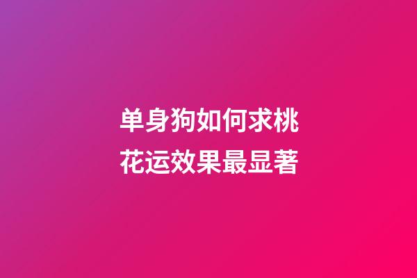 单身狗如何求桃花运效果最显著