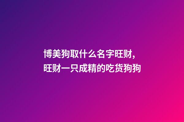 博美狗取什么名字旺财,旺财一只成精的吃货狗狗-第1张-观点-玄机派