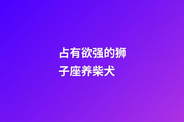 占有欲强的狮子座养柴犬-第1张-星座运势-玄机派