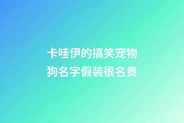 卡哇伊的搞笑宠物狗名字假装很名贵