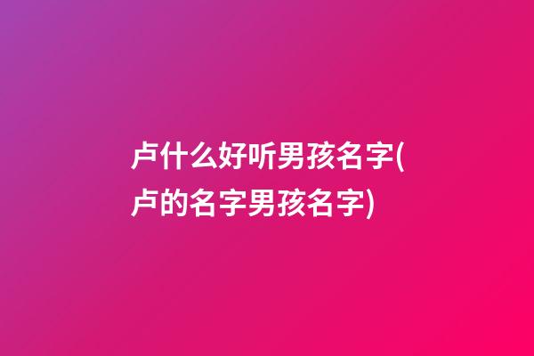 卢什么好听男孩名字(卢的名字男孩名字)