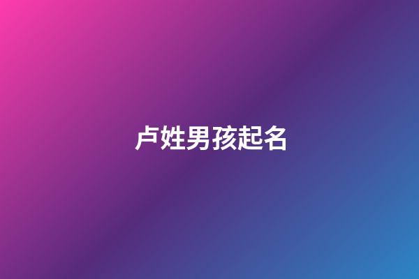 卢姓男孩起名(周姓男孩取名字)-第1张-男孩起名-玄机派