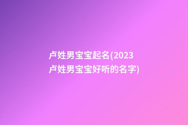 卢姓男宝宝起名(2023卢姓男宝宝好听的名字)