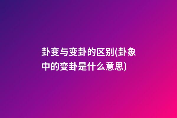 卦变与变卦的区别(卦象中的变卦是什么意思)