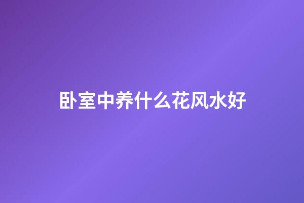 卧室中养什么花风水好