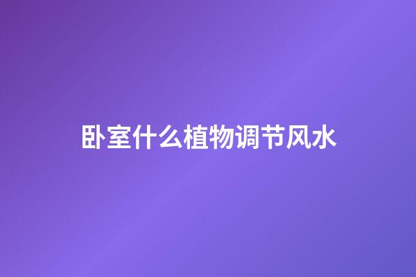 卧室什么植物调节风水