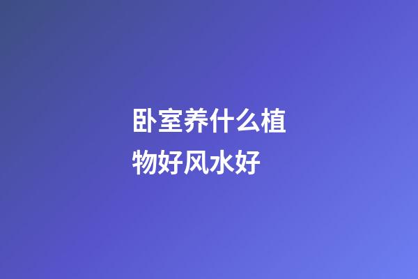 卧室养什么植物好风水好