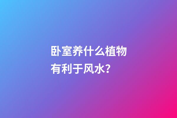 卧室养什么植物有利于风水？