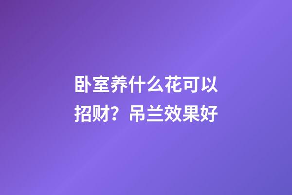 卧室养什么花可以招财？吊兰效果好