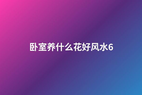卧室养什么花好风水6