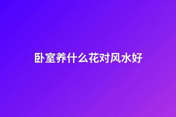 卧室养什么花对风水好