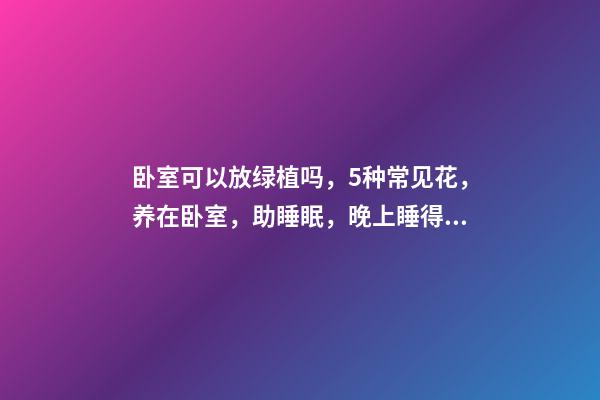 卧室可以放绿植吗，5种常见花，养在卧室，助睡眠，晚上睡得香-第1张-观点-玄机派
