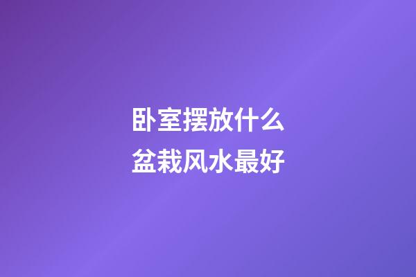 卧室摆放什么盆栽风水最好