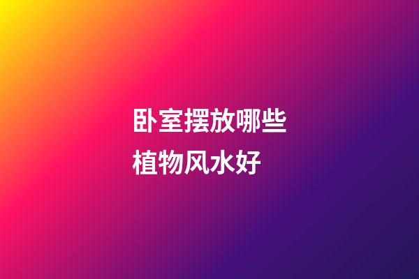卧室摆放哪些植物风水好