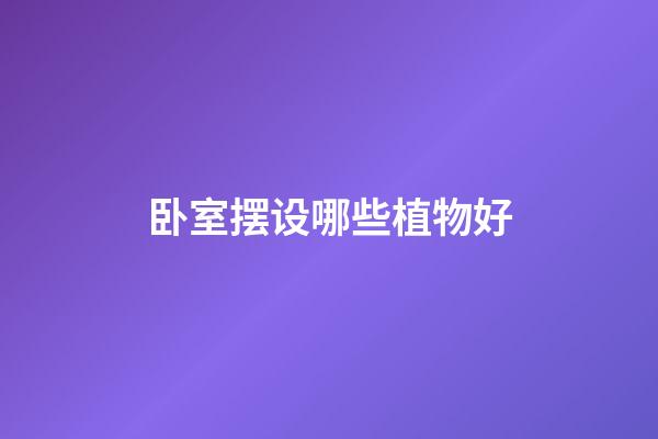 卧室摆设哪些植物好