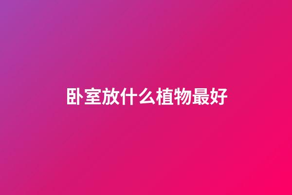 卧室放什么植物最好